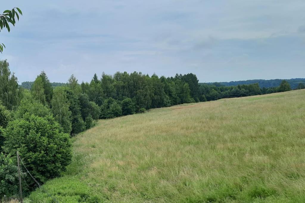 Апартаменты Ojcowski Zakatek-Uroczy Domek Do Wynajecia Wola Kalinowska Экстерьер фото